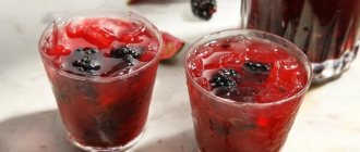 caipirinha коктейль с ягодами