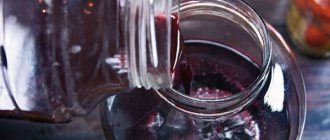 Вино из черноплодки. Рецепт, как приготовить домашнее с водкой, дрожжами, вишневыми листьями, из яблок