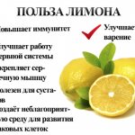 Водка на лимоне. Рецепт с фото в домашних условиях